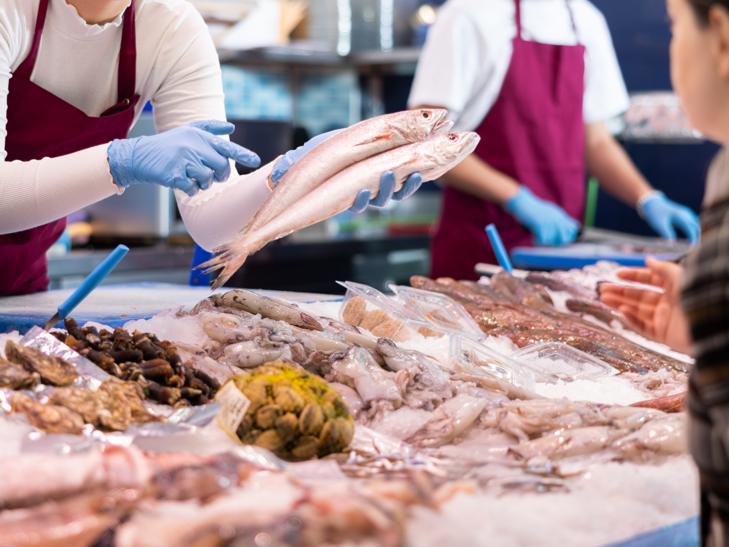 Pesce pescato o allevato? Una scelta che incide sul piatto, sul food cost e sull'esperienza del cliente