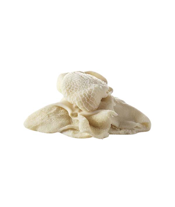 TRIPPA PRECOTTA INTERA KG 5