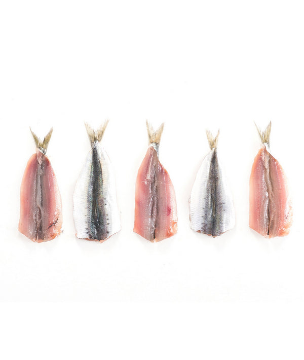 FILETTI DI SARDINA  FAO37 IQF KG 5,4