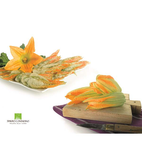 FIORI ZUCCA IN CROSTA FARINA DI GRANO SPIRITO CONTADINO KG 1