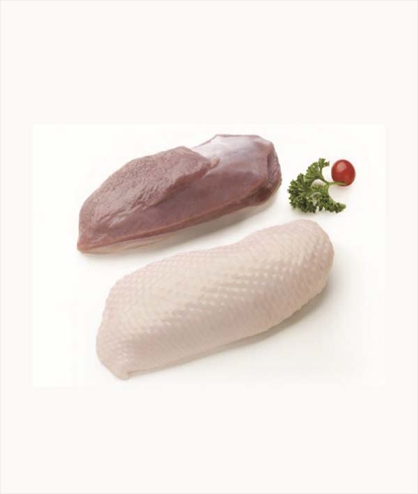 ANATRA PETTO (PEZZO) ROYAL DUCK GR 400/500