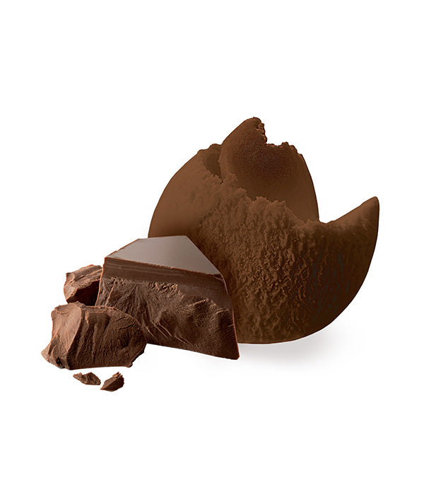 GELATO CACAO VEGANO VASCHETTA ERIKA KG 2,25