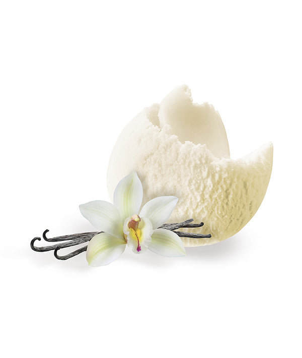 GELATO VANIGLIA VEGANO VASCHETTA ERIKA KG 2,25