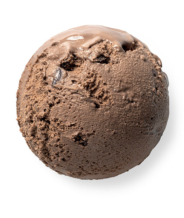GELATO CIOCCOLATO SENZA LATTOSIO VASCHETTA ERIKA KG 2,25