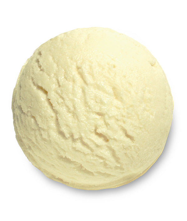 GELATO VANIGLIA SENZA LATTOSIO VASCHETTA ERIKA KG 2,25