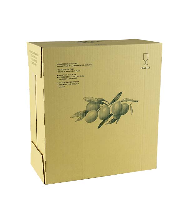 OLIO E.V.O. PET OLIVINA LT 5