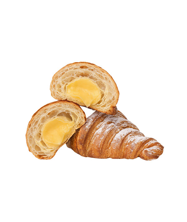 CREMA PASTICCERA ITALIA SENZA LATTOSIO CAMEL LT 1