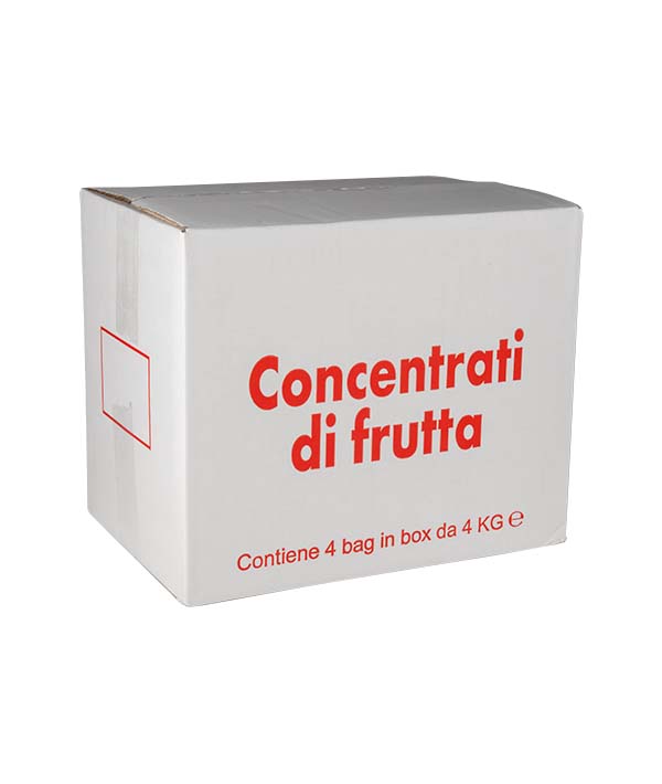 SUCCO CONCENTRATO ACE BAG IN BOX DI GIÀ KG 4