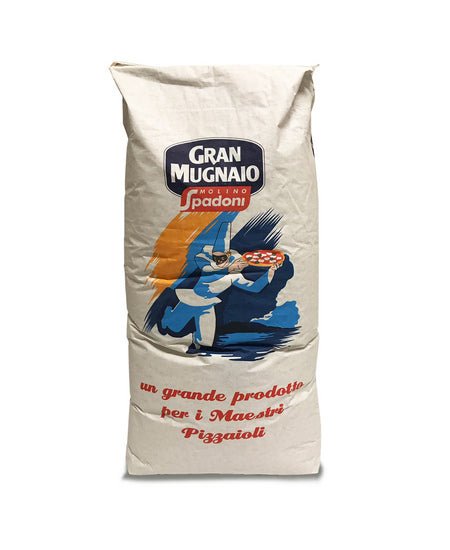 MISCELA PROFESSIONALE PIZZA ALLA ROMANA KG 25