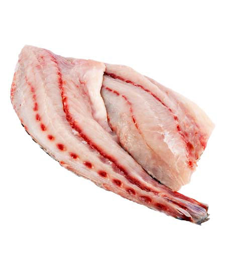 OMBRINA ATLANTICA CORBA ROSSA g 3000/4000 SFILETTATA