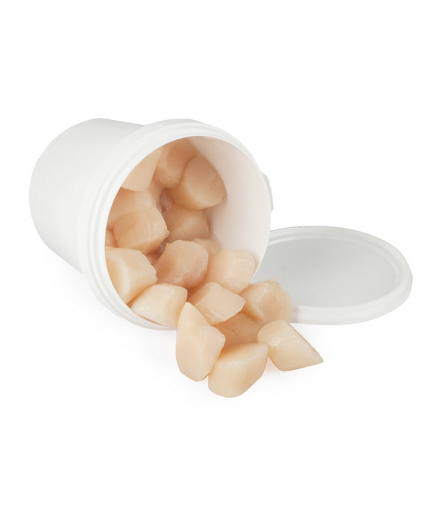 CAPASANTA OCEANICA SENZA CORALLO PZ 10/20 DECONGELATA KG 1