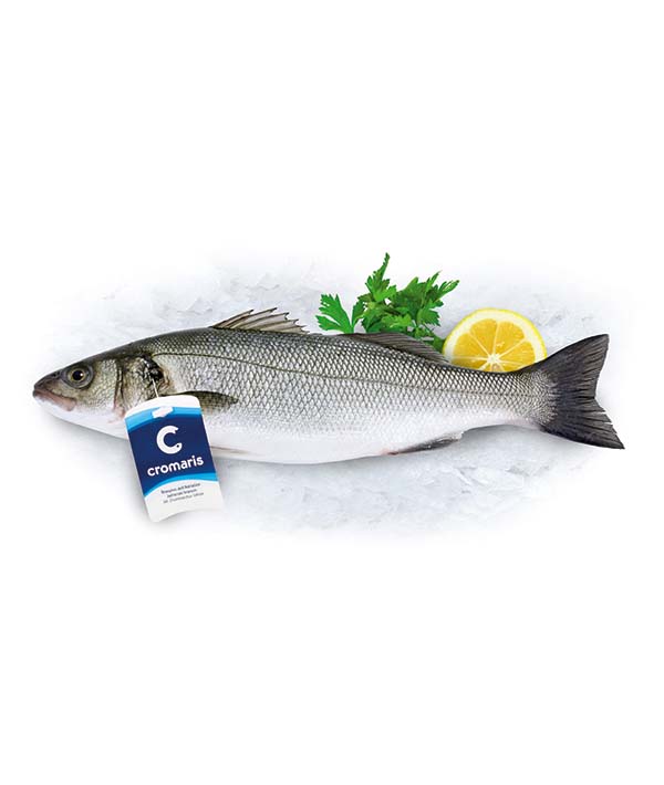 BRANZINO CROAZIA g 300/400