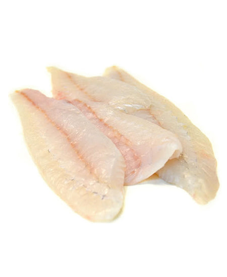 ROMBO CHIODATO ATLANTICO SFILETTATO g 1000/2000 NR.4