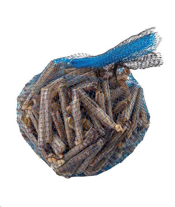 CAPPALUNGA/CANNOLICCHIO