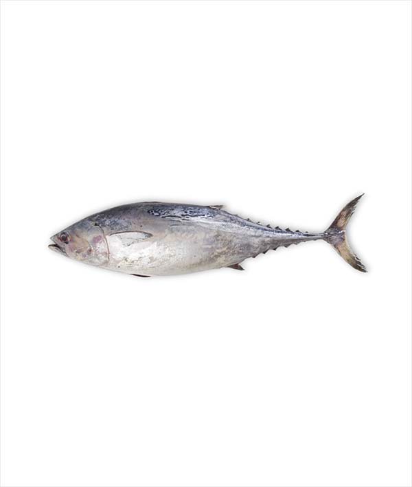 TOMBARELLO