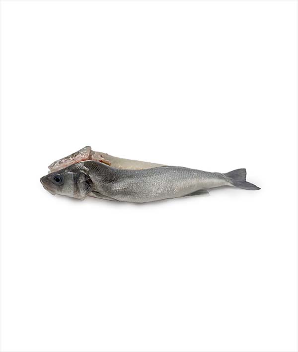 BRANZINO CROAZIA g 200/300 TAGLIO A FARFALLA