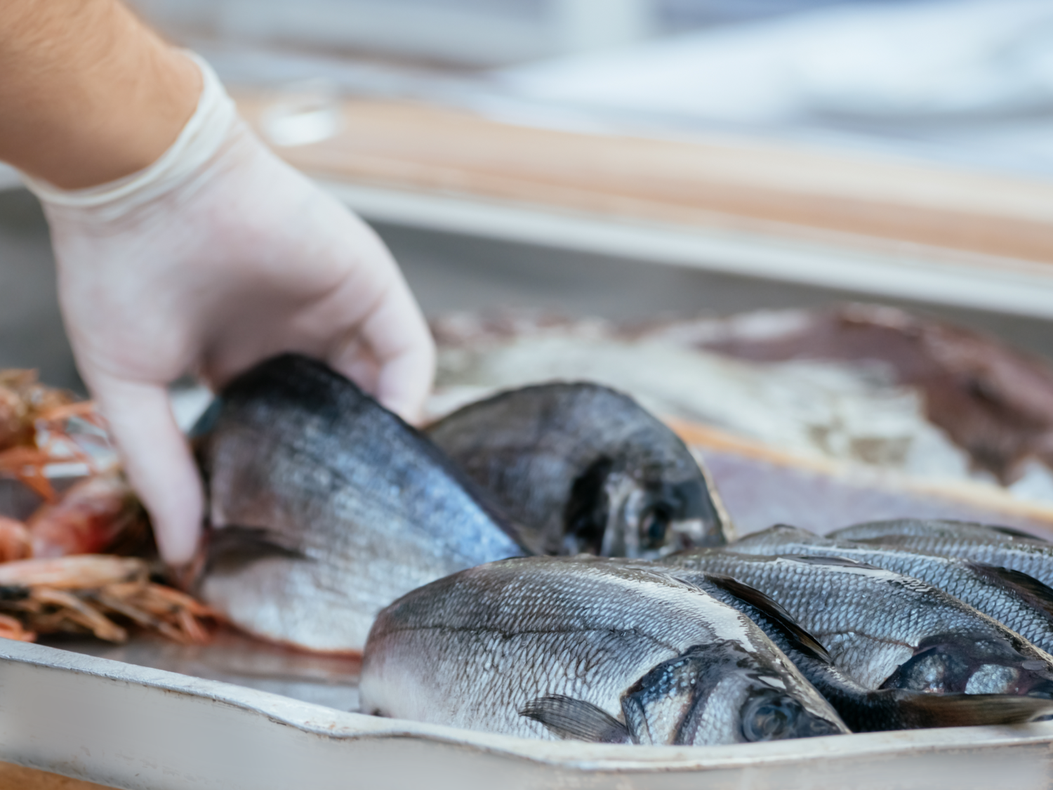 Pesce fresco: i consigli per riconoscerlo, gestirlo e valorizzarlo in cucina
