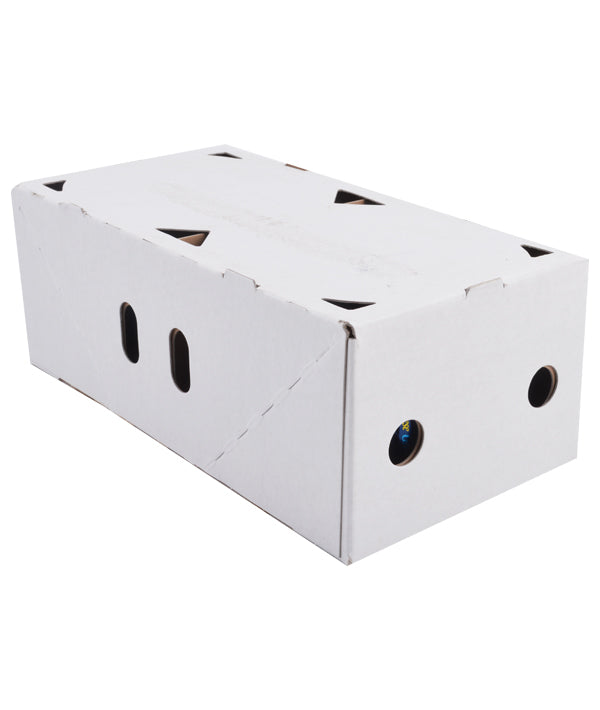 FORMAGGIO EDELPILZ GRANBAVARESE ROTONDO FORMA KG 2,5