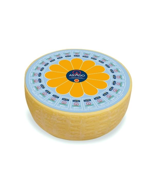 FORMAGGIO ASIAGO DOP 30 GIORNI FORMA CATTEL KG 15