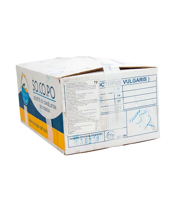 POLPO T2 MAROCCO g 3000/4000 IQF SO.CO.PO. KG 12