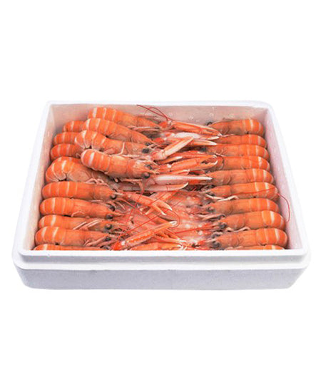 SCAMPO INTERO SCOZIA 16/20 PZ/KG EPS  KG 1,35