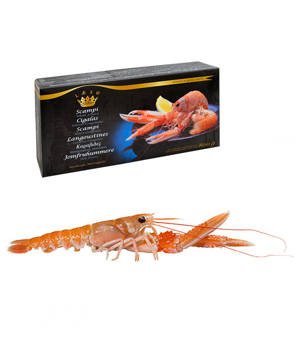 SCAMPO INTERO DANIMARCA 17/20 PEZZI LAESO G. 800