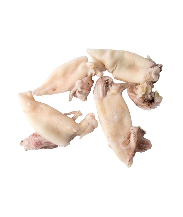 CALAMARO PATAGONIA PULITO INTERO IQF KG 6