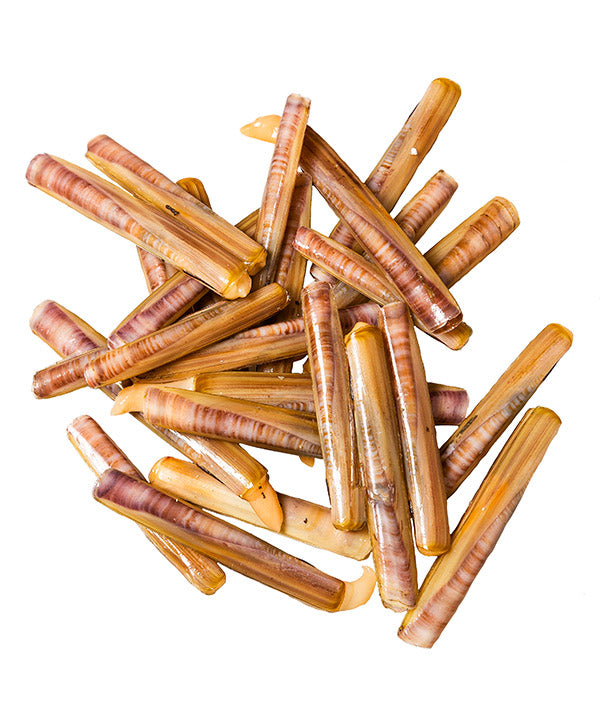 CAPPALUNGA/CANNOLICCHIO FAO37 IQF KG 3