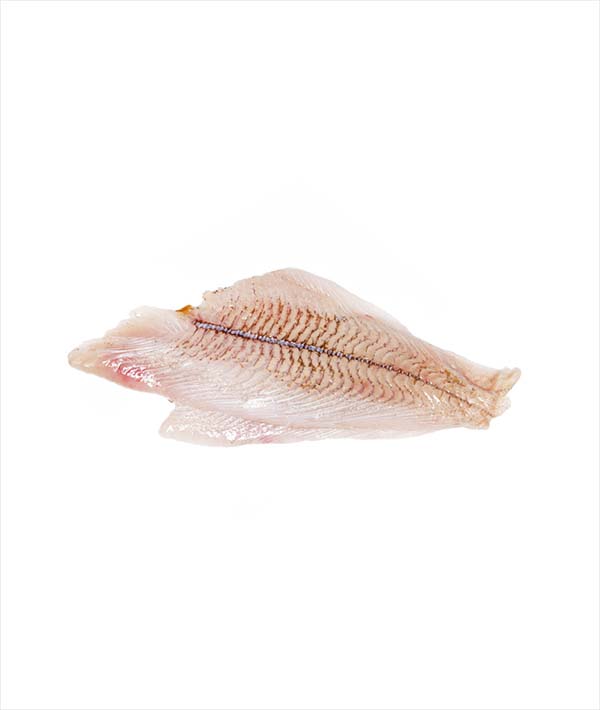 PLATESSA FILETTO N°3L CON PELLE IQF B-DEKKER g 4000