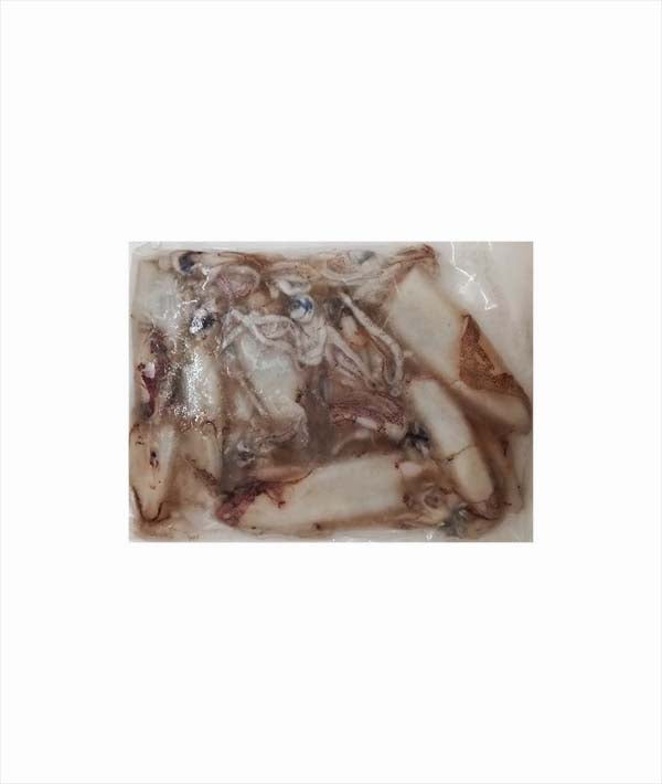 CALAMARO NOSTRANO "CACIAROLO" DAL FRESCO GR/50 JESOLPESCA GR 500
