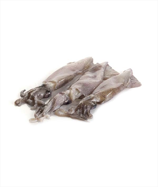 CALAMARO PATAGONIA SPORCO C4 CM 10/12 g 5000