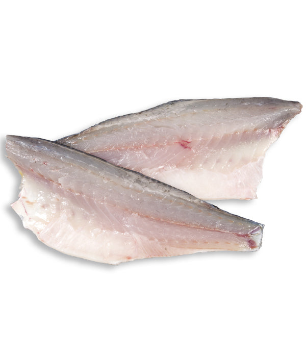 BRANZINO FILETTO FAO37 CON PELLE gr 160/200 IQF JP kg 4