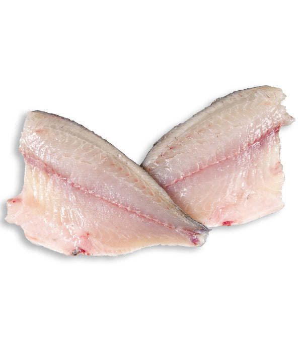 ORATA FILETTO FAO 37 CON PELLE GR 160/200 IQF JESOLPESCA KG 4