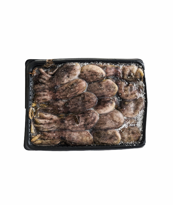 MOSCARDINO CA TUNISIA FAO 37 2BL GR 80/120 KG 12