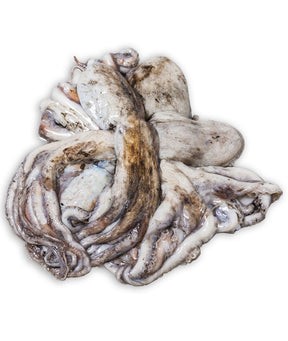 MOSCARDINO NERO C TUNISIA FAO 37 2BL GR 80/120 KG 12