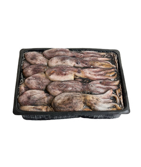 MOSCARDINO NERO CG FAO37 GR 150/250 KG 12