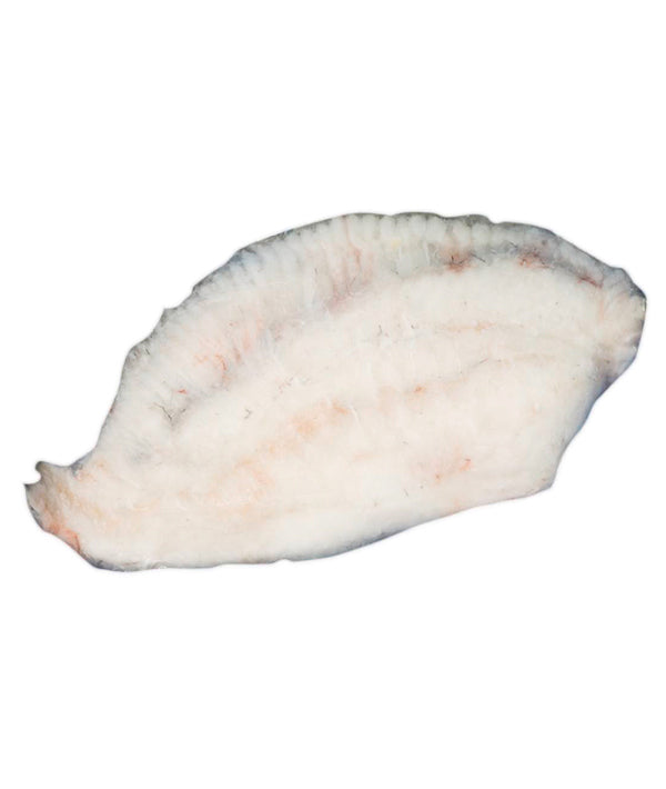 FILETTO DI ROMBO CHIODATO SKIN PZ 10 GR 150/200 DYP KG 2