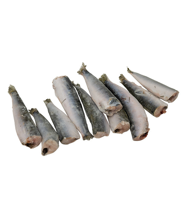 SARDINA LAMPARA SKIN PZ10 PULITA GR 110/130 DYP KG 1