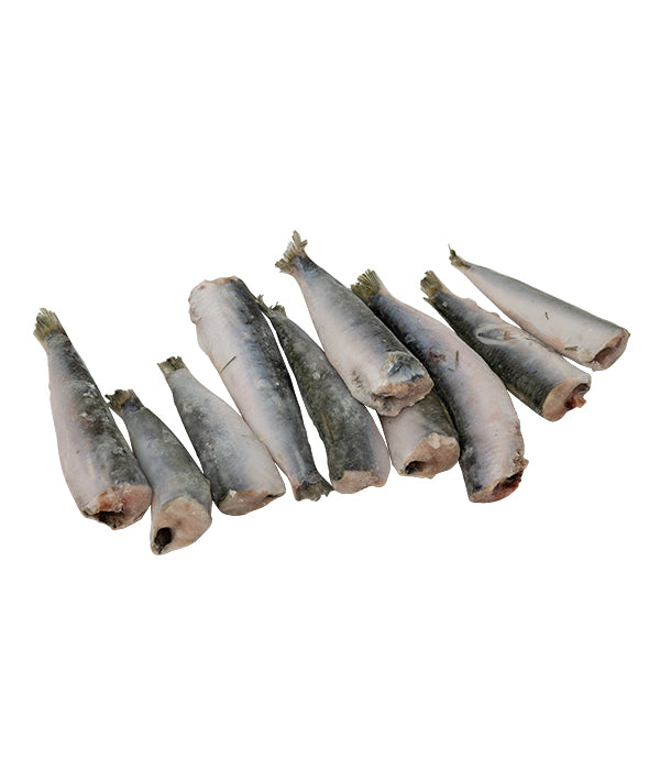 SARDINA DI LAMPARA SFUSA PULITA DECAPITATA DYP KG 6