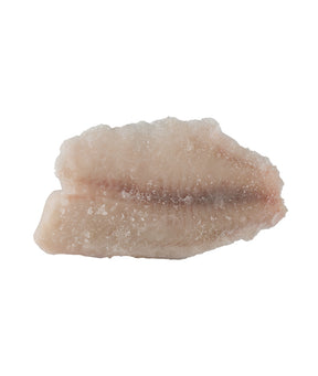 FILETTI DI TILAPIA DEL NILO GR 140/200 IQF NORDIC SEAFOOD KG 3,75