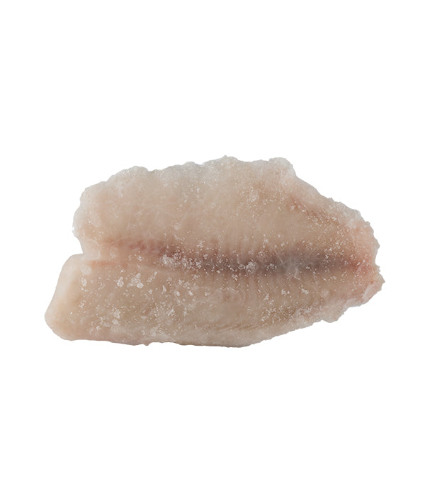 FILETTI DI TILAPIA DEL NILO GR 140/200 IQF NORDIC SEAFOOD KG 3,75