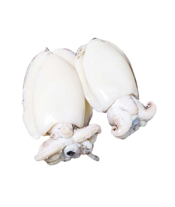 SEPPIA PULITA INDIA FAO 51 PZ 13/20 IQF JESOLPESCA GR 800