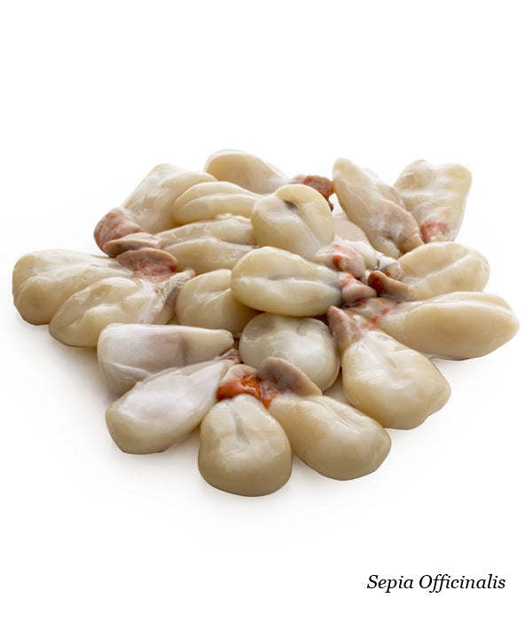 SEPPIA UOVA BIANCA JESOLPESCA KG 2