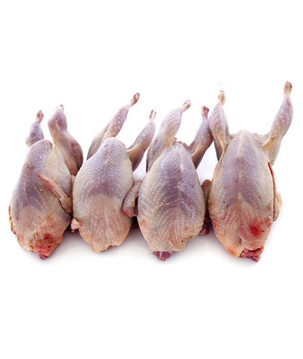 QUAGLIA EXTRA CONGELATA PZ 4X160g GR 640