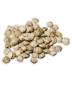 VONGOLA LUPINO DELL'ADRIATICO CON GUSCIO IQF KG 1