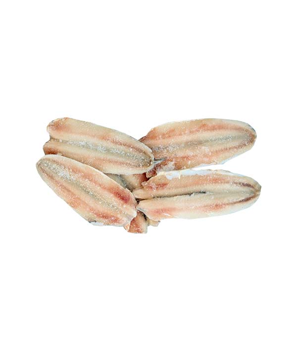 FILETTI DI ALICI IQF G 5400