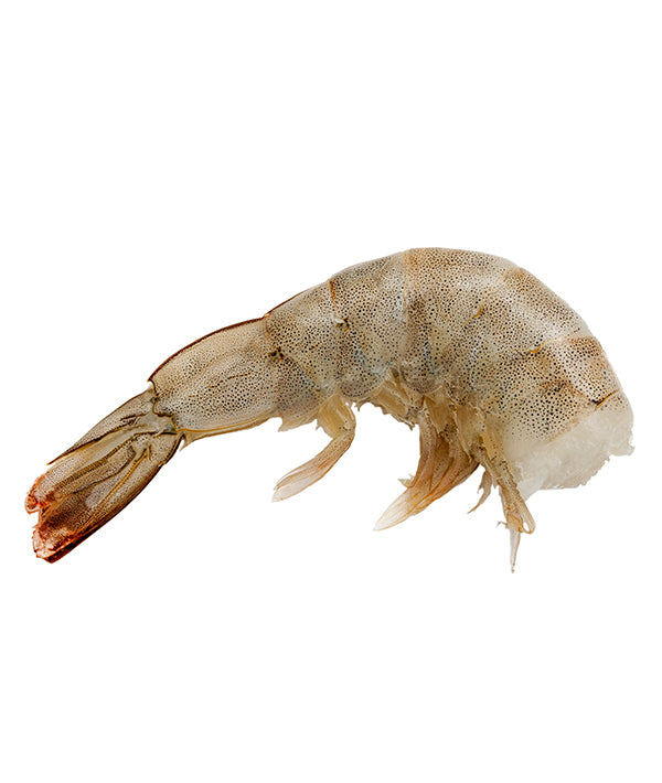 MAZZANCOLLA TROPICALE CODA ECUADOR 26/30 PZ/LB KG 2