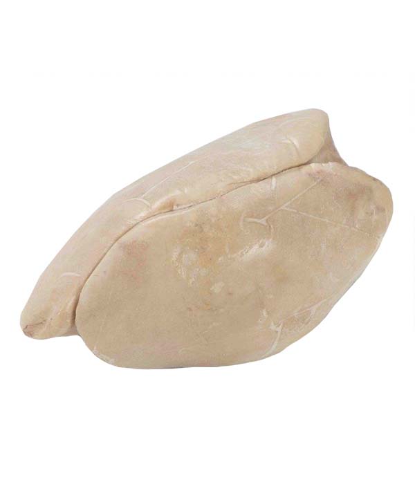 FEGATO D'OCA GRASSO CONGELATO GR 450