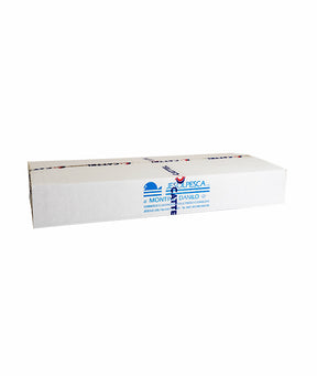 FILETTI DI SALMONE SALAR PZ 6 CON PELLE KG 1/2 DAL FRESCO KG 9