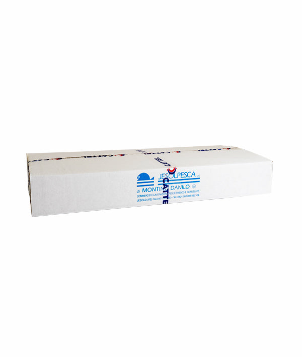 FILETTI DI SALMONE SALAR PZ 6 CON PELLE KG 1/2 DAL FRESCO KG 9